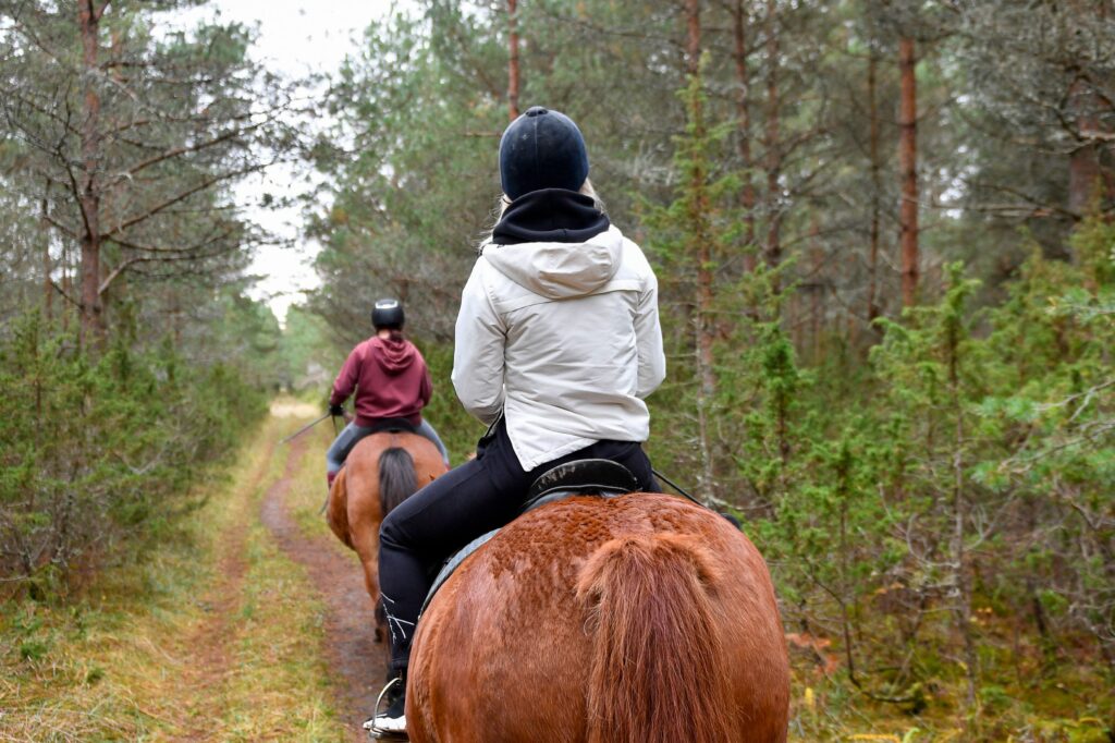 Explore the scenic forests of Saare County, Estonia, on horseback, enjoying nature and tranquility.